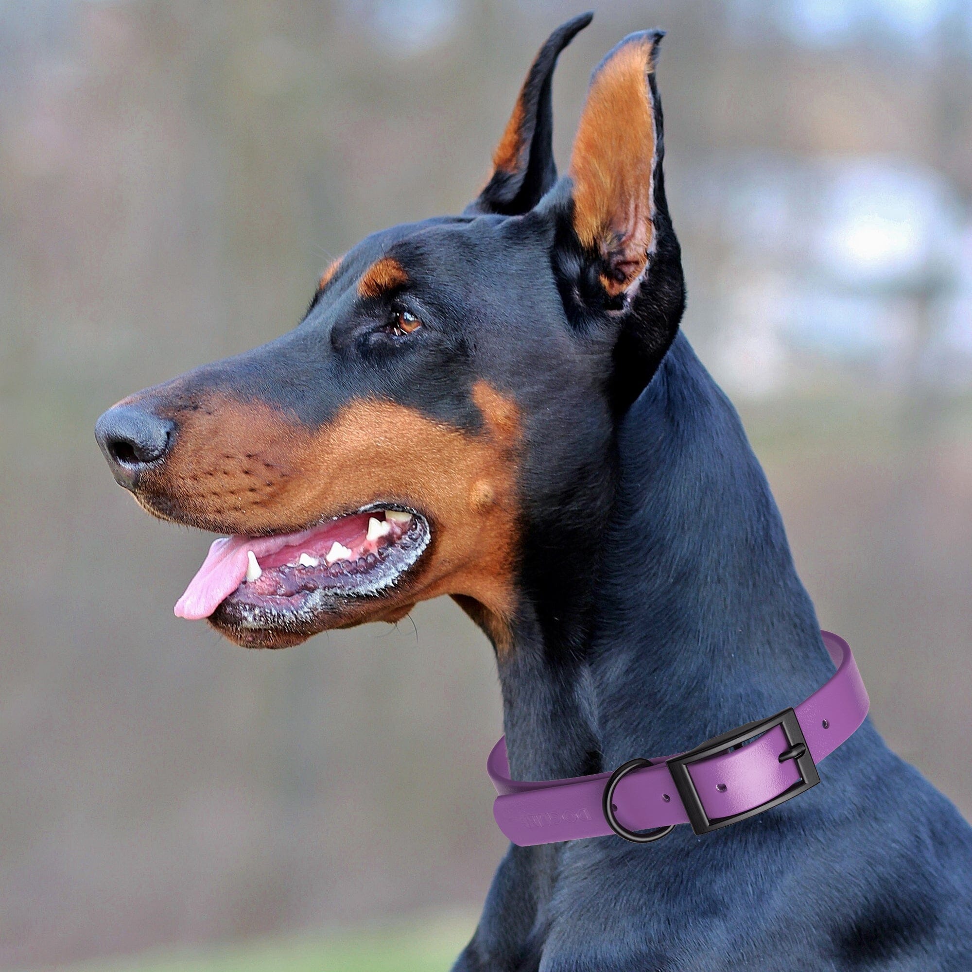 Biothane Waterproof Dog Collar - X-Large (22 to 25 inches)