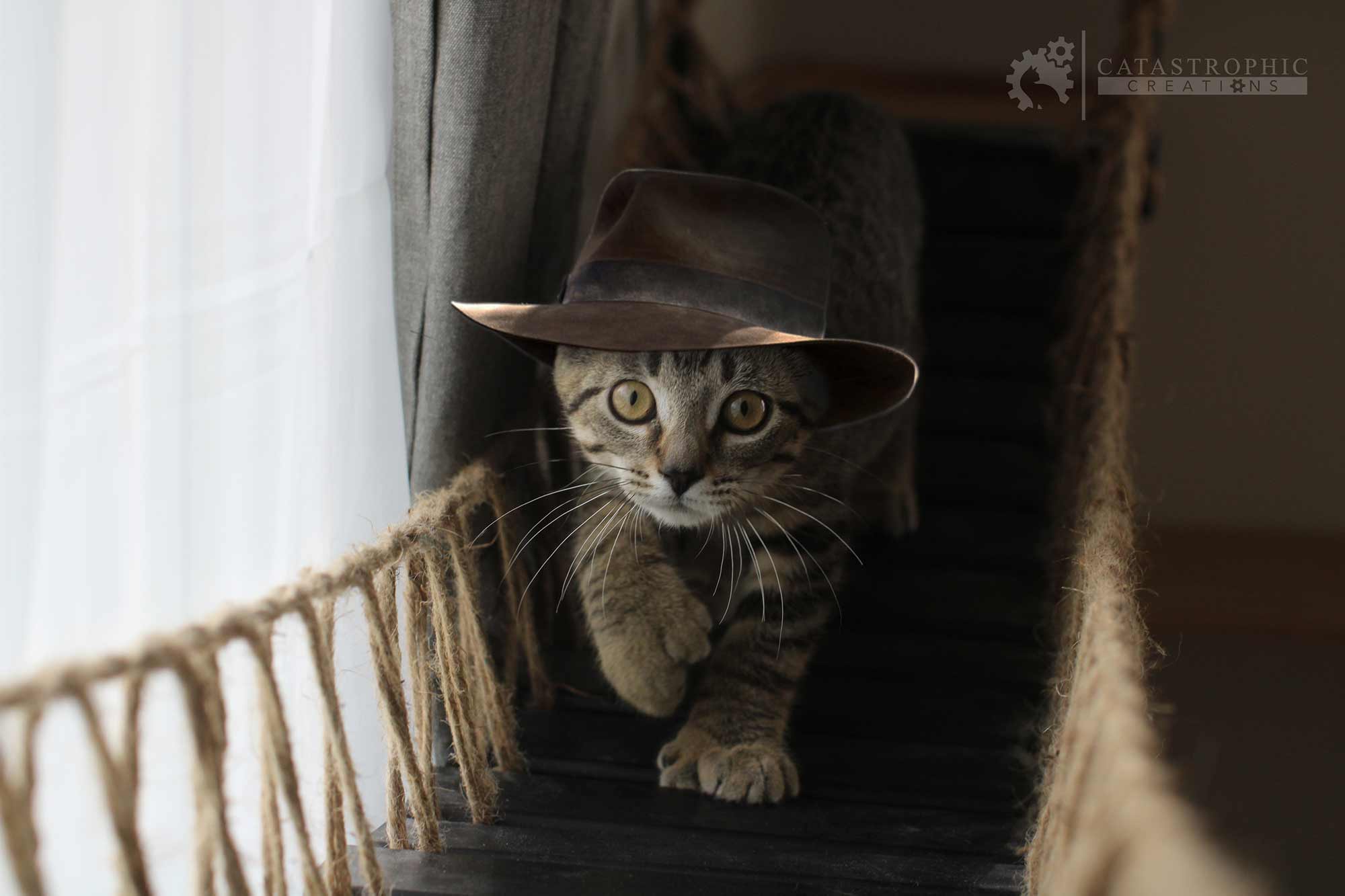 Cat Suspension Bridge - Cat Shelf Set (Wall Mounted) - by Catastrophic Creations