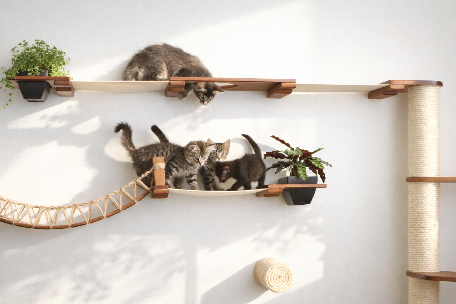 The Juggernaut (Wall-Mounted Cat Tree/Condo) - by Catastrophic Creations