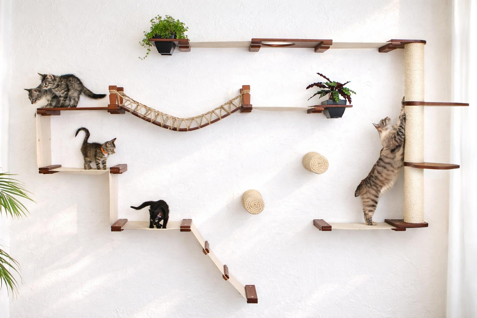 The Juggernaut (Wall-Mounted Cat Tree/Condo) - by Catastrophic Creations