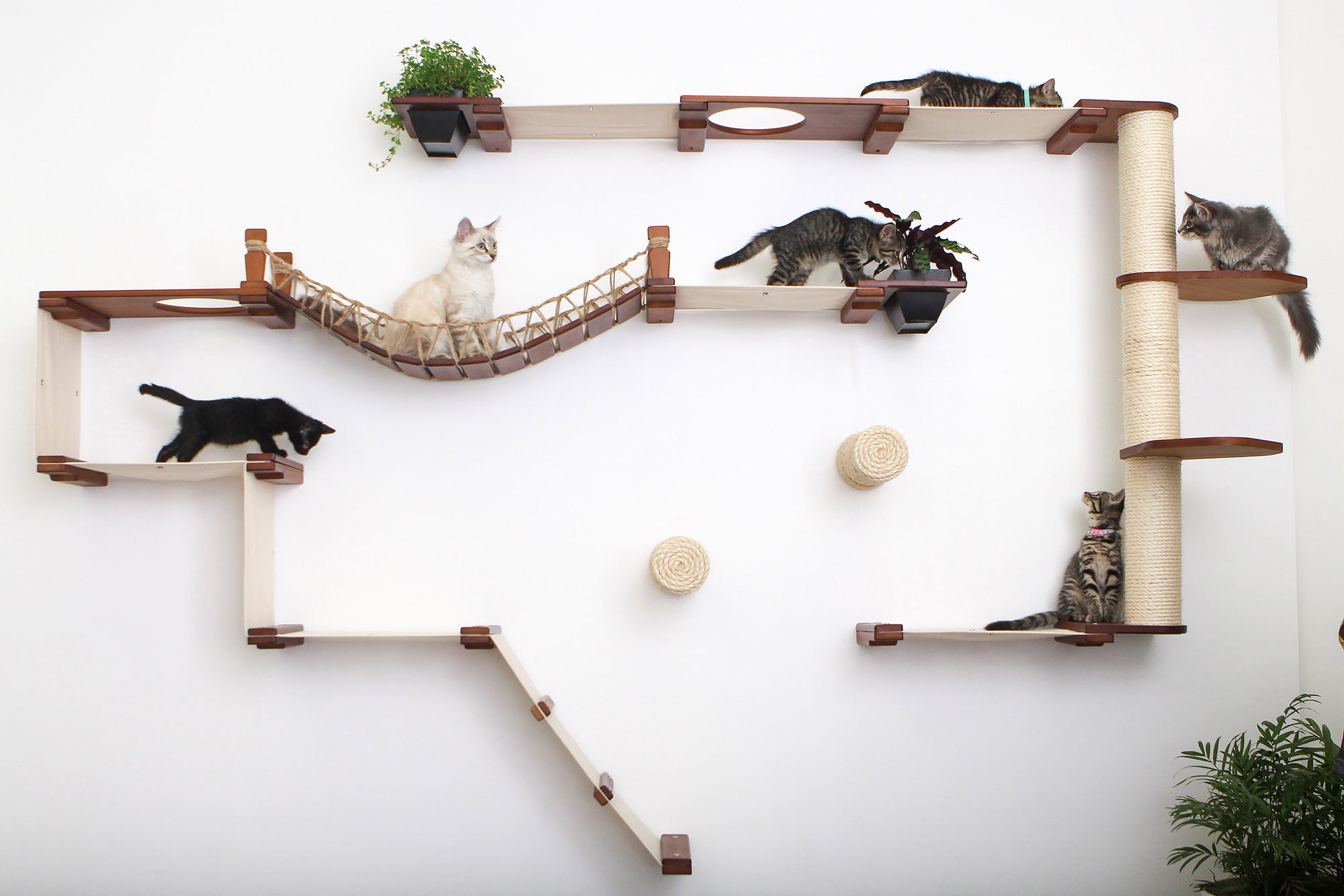 The Juggernaut (Wall-Mounted Cat Tree/Condo) - by Catastrophic Creations
