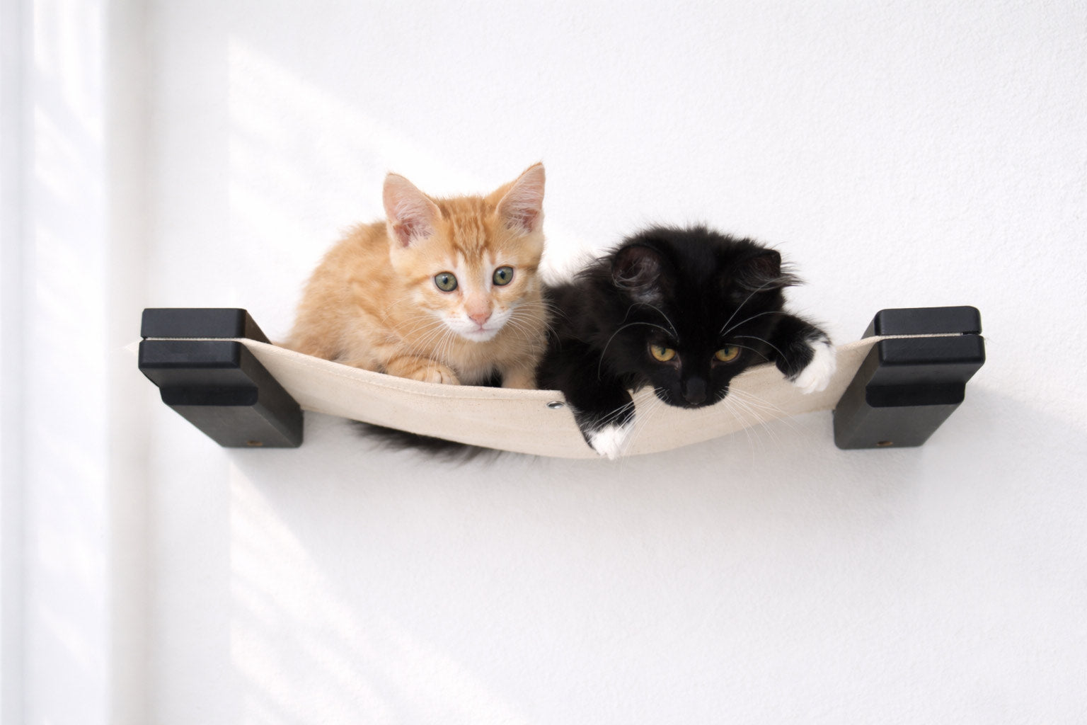 Cat Wall Hammock - Hanging Cat Beds - by Catastrophic Creations