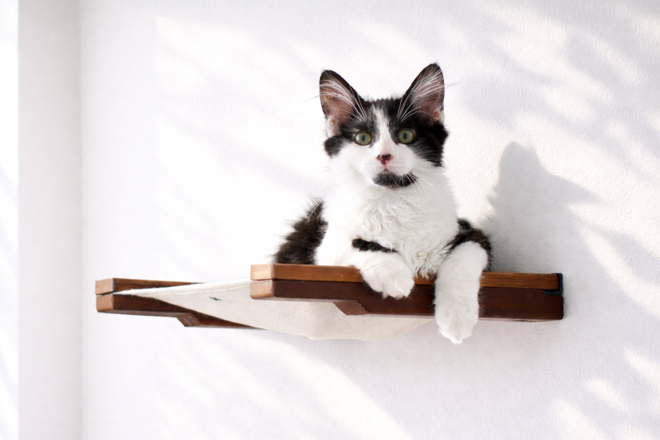 Cat Wall Hammock - Hanging Cat Beds - by Catastrophic Creations