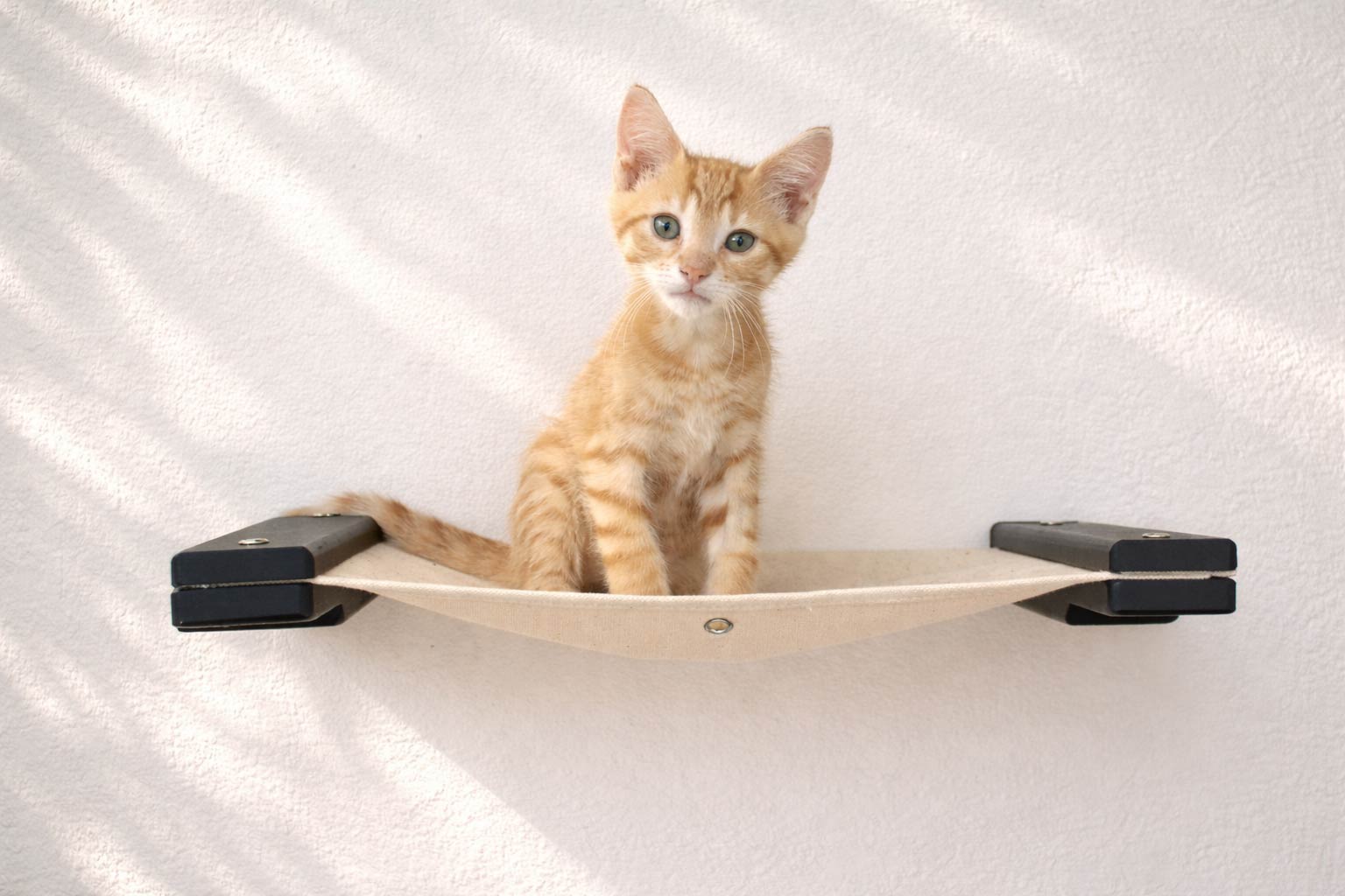 Cat Wall Hammock - Hanging Cat Beds - by Catastrophic Creations