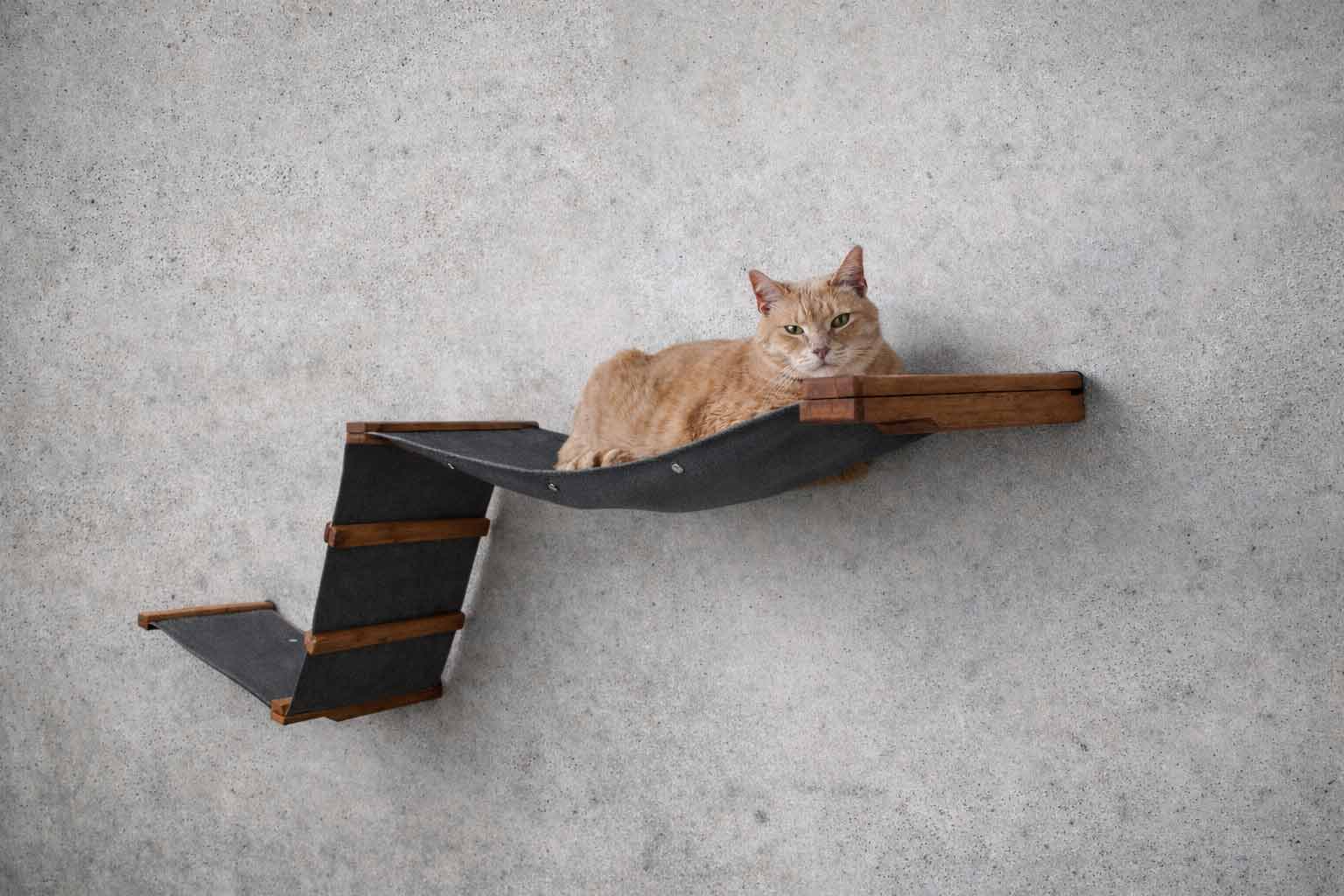 Raceway Hammock - Cat Wall Ramp - by Catastrophic Creations
