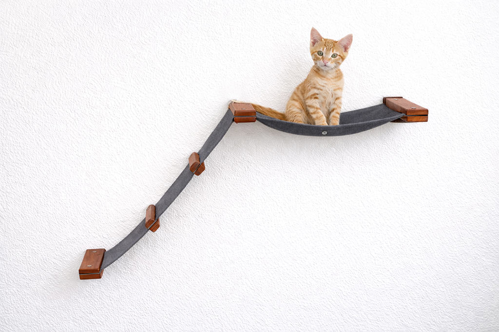 The Lift: Cat Wall Ramp with Hammock Bed - by Catastrophic Creations