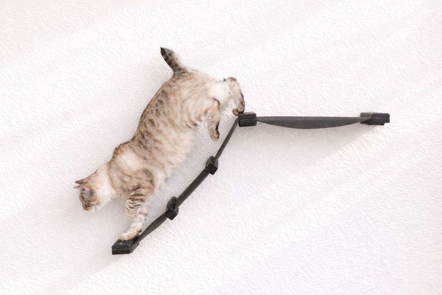 The Lift: Cat Wall Ramp with Hammock Bed - by Catastrophic Creations