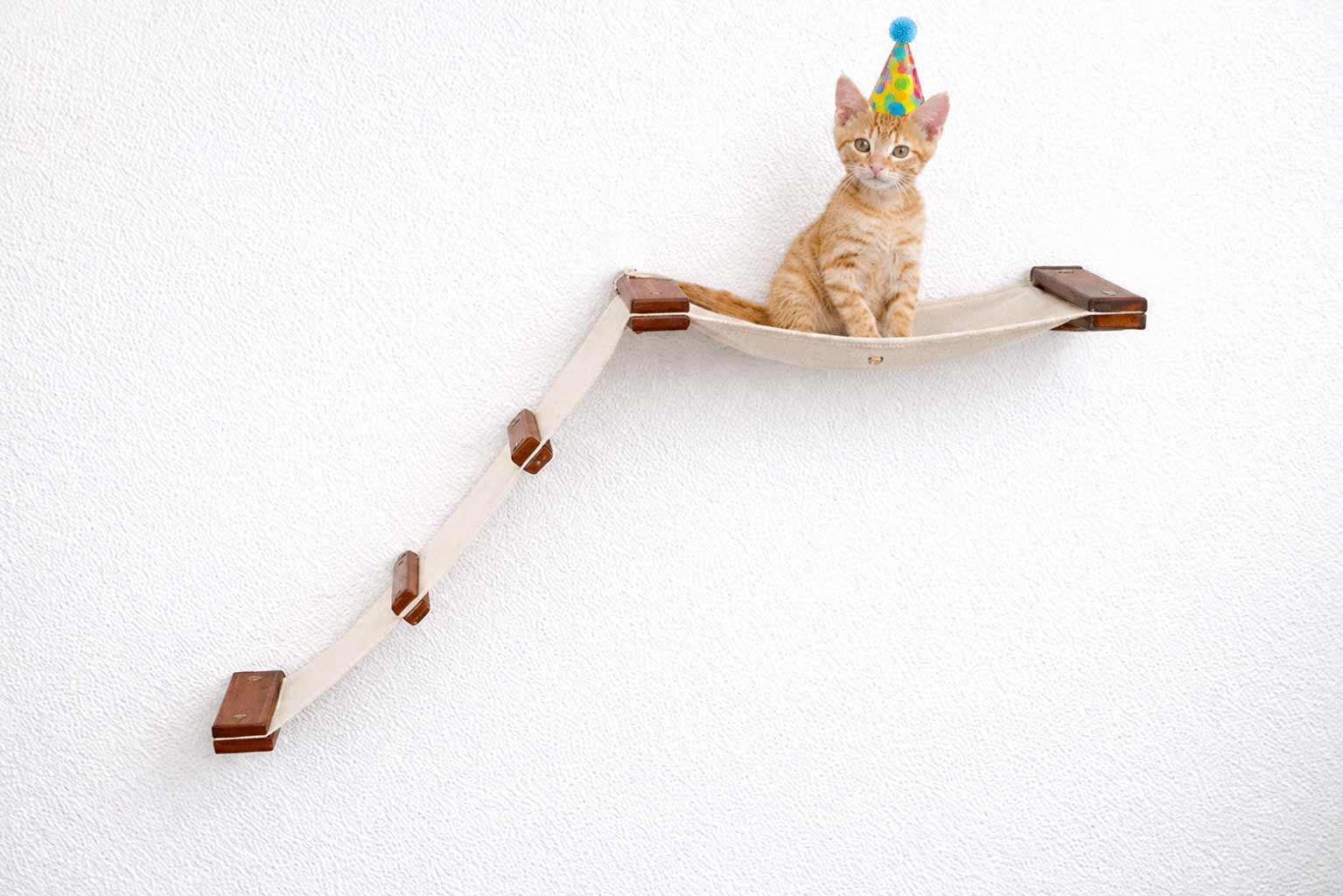 The Lift: Cat Wall Ramp with Hammock Bed - by Catastrophic Creations