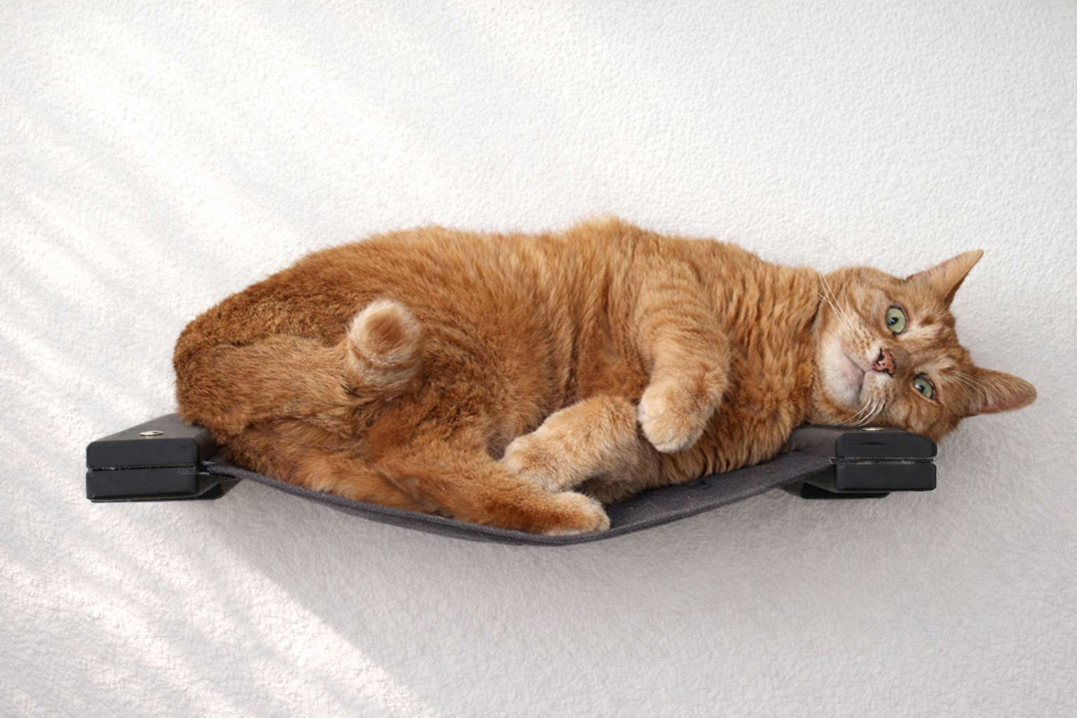 Cat Wall Hammock - Hanging Cat Beds - by Catastrophic Creations