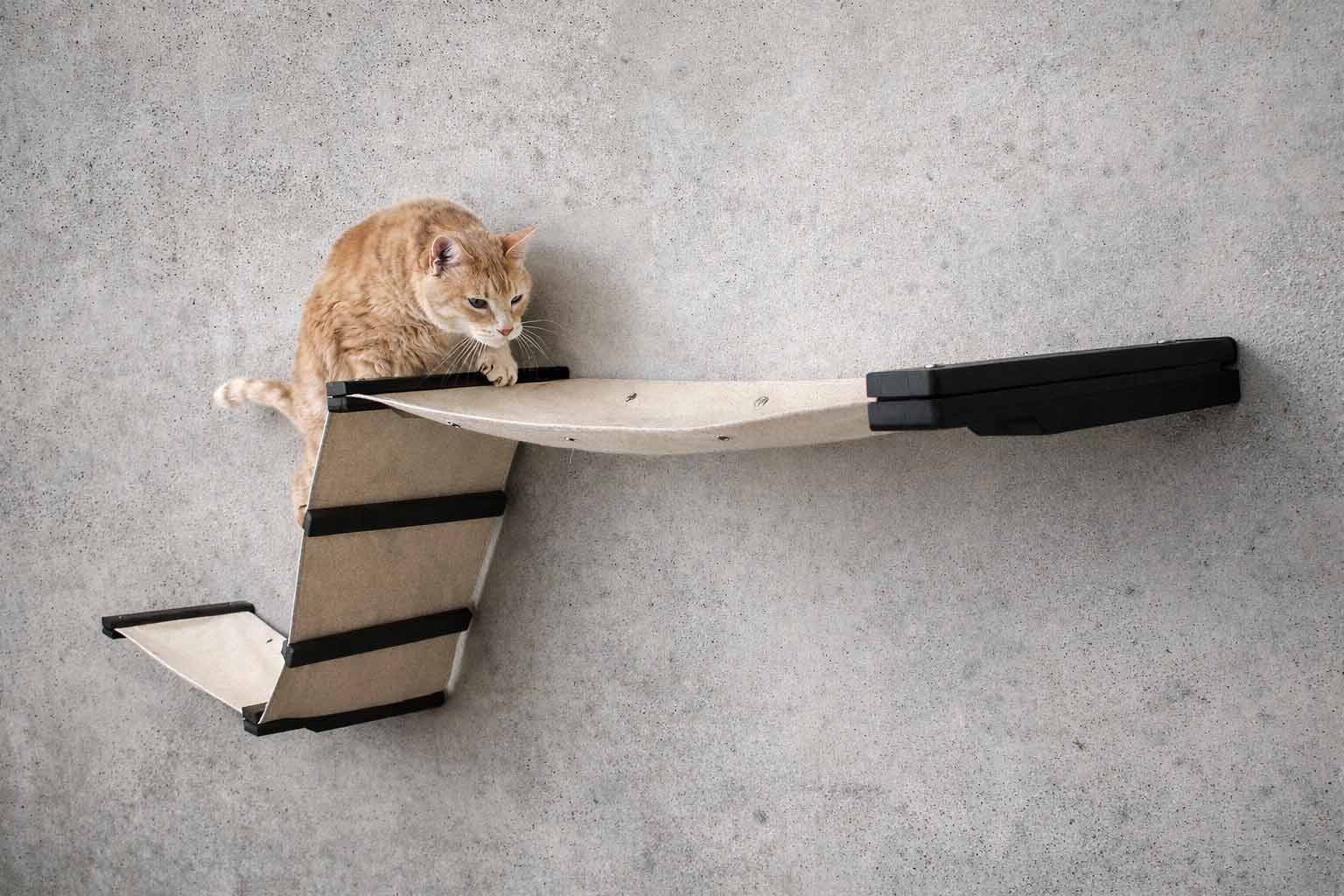 Raceway Hammock - Cat Wall Ramp - by Catastrophic Creations