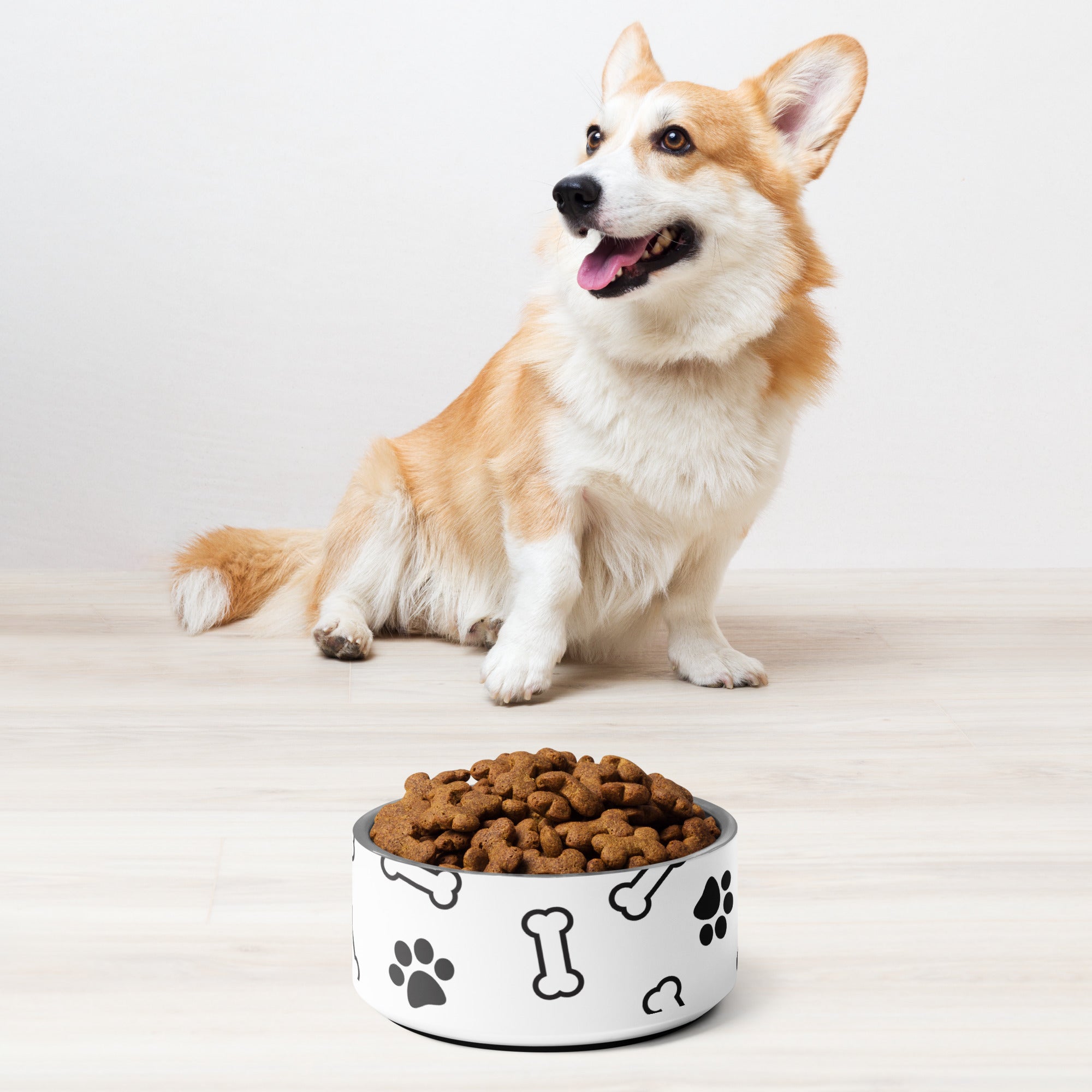 Paws N' Bone Pet Bowl