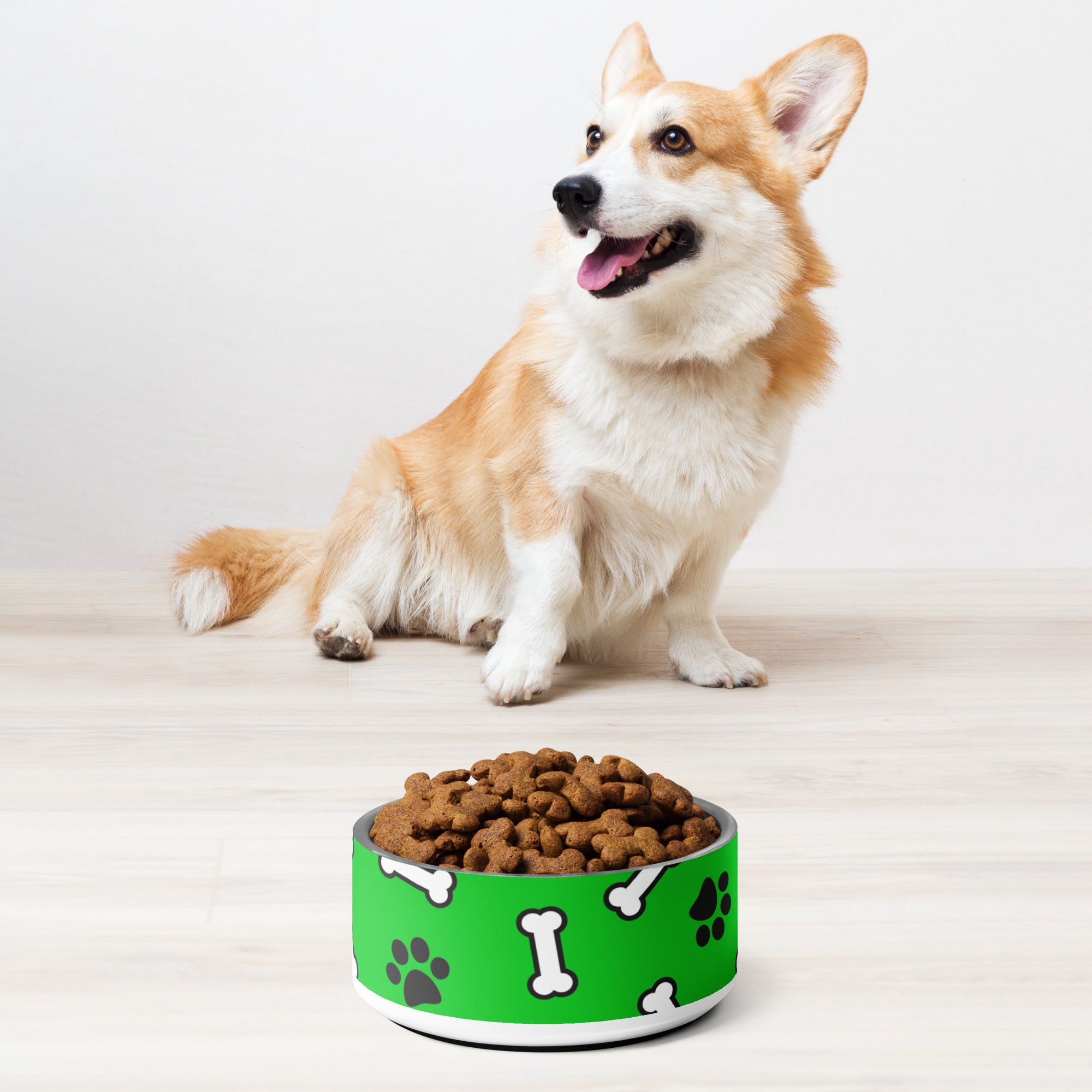 Paws N' Bone Green Pet Bowl