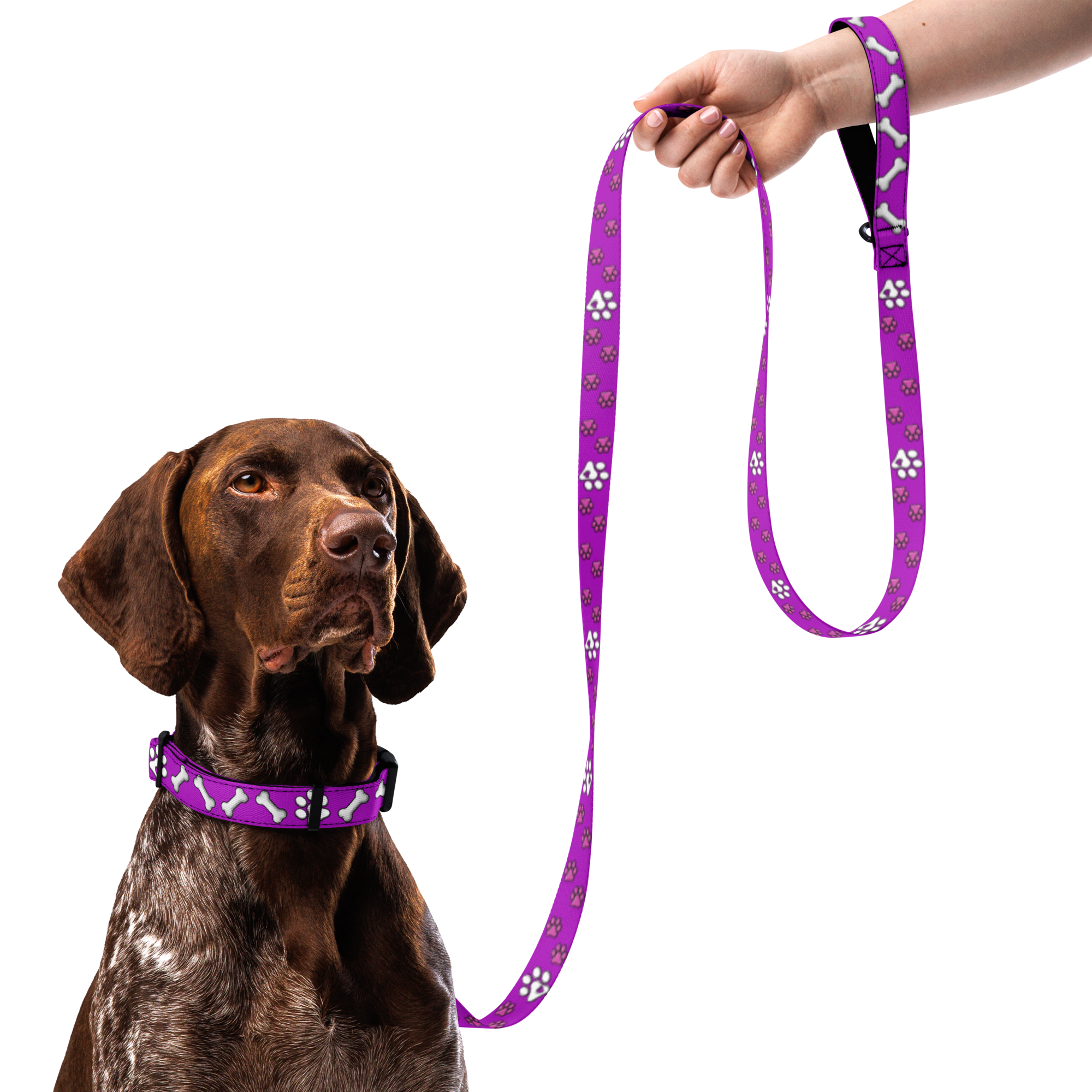 Pink Paws n' Bone Collar & Leash