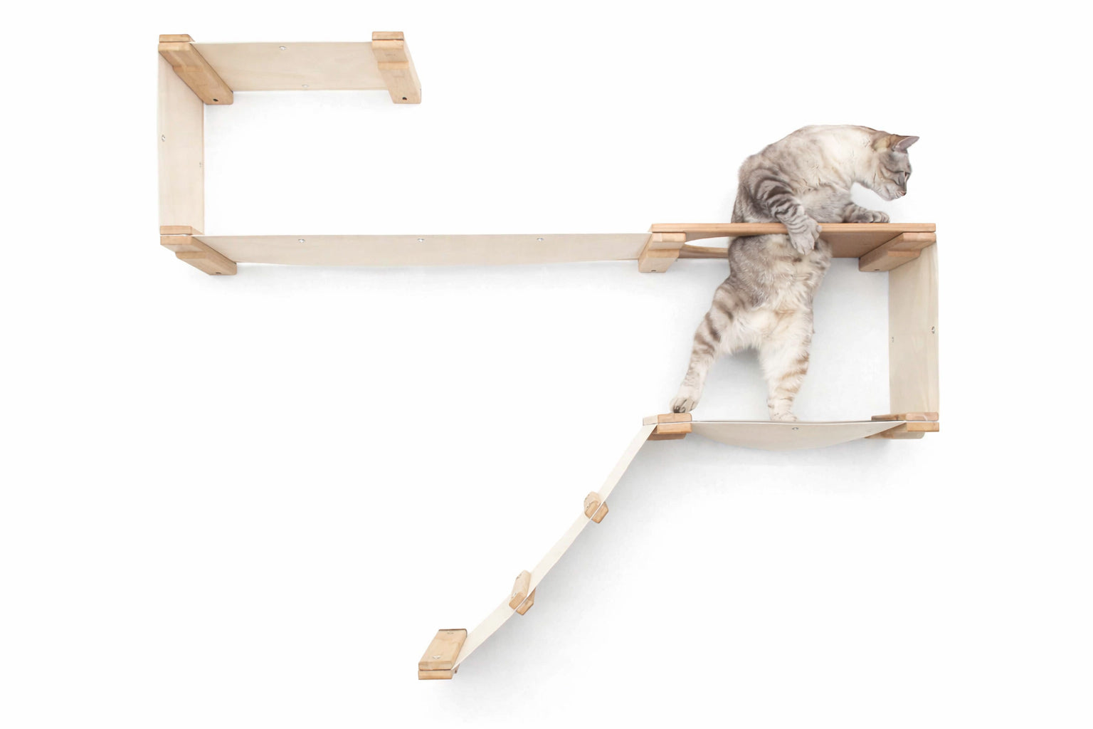 The Play Cat Condo - A Wall-Mounted Cat Tree - by Catastrophic Creations