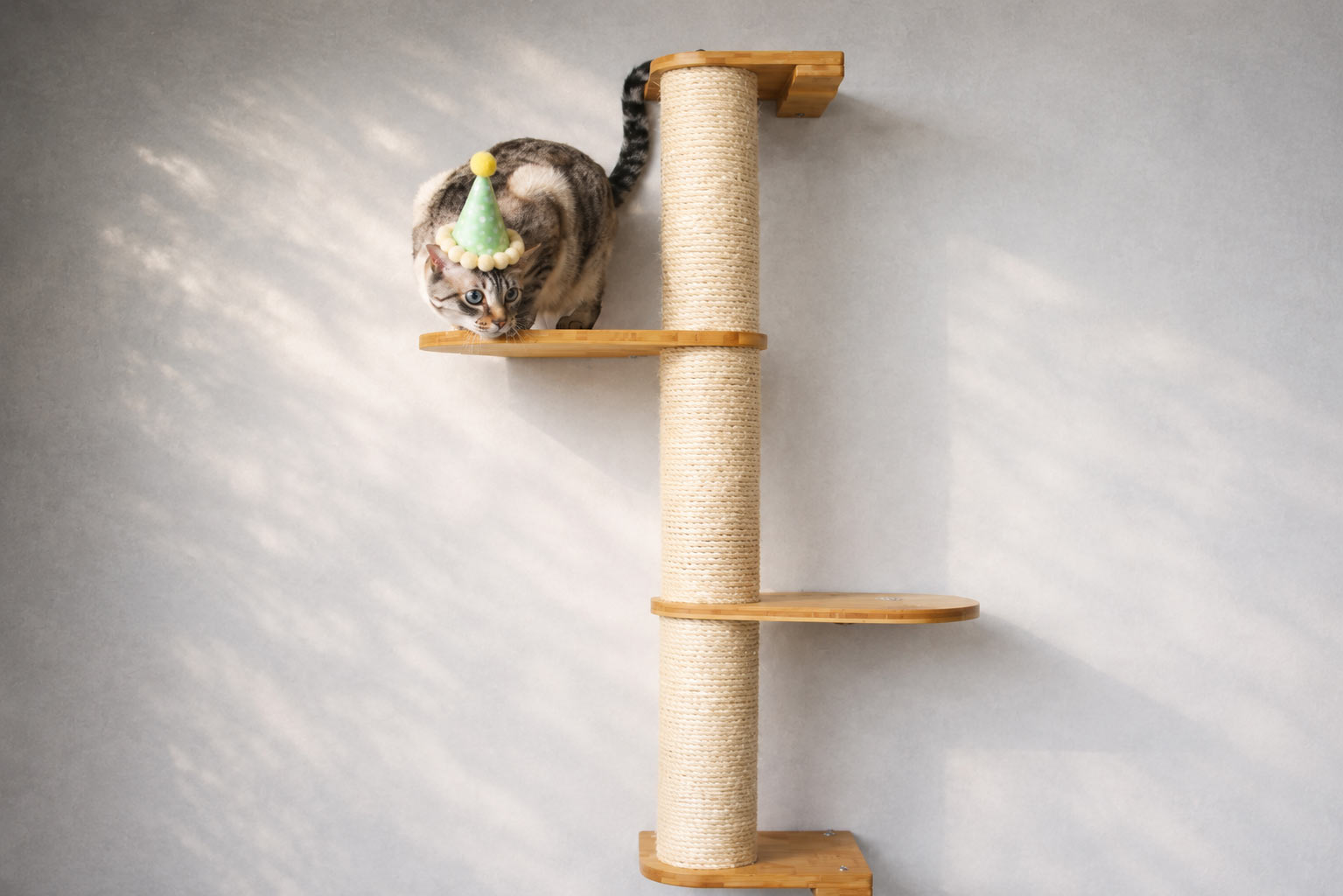 Cat Scratching Pole (Wall-Mounted) - by Catastrophic Creations