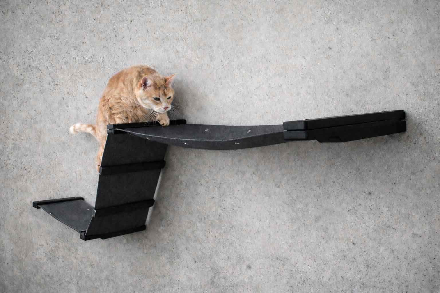 Raceway Hammock - Cat Wall Ramp - by Catastrophic Creations