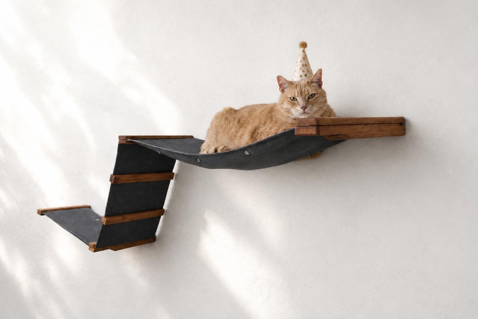 Raceway Hammock - Cat Wall Ramp - by Catastrophic Creations