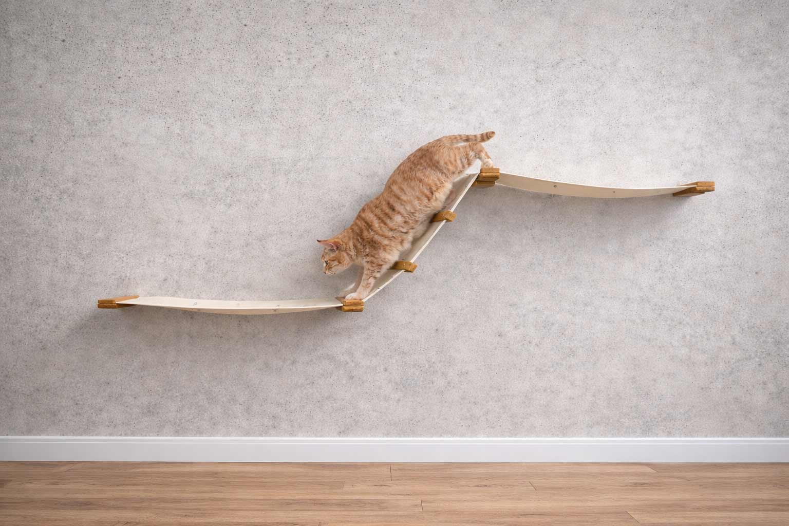 Raceway Hammock - Cat Wall Ramp - by Catastrophic Creations