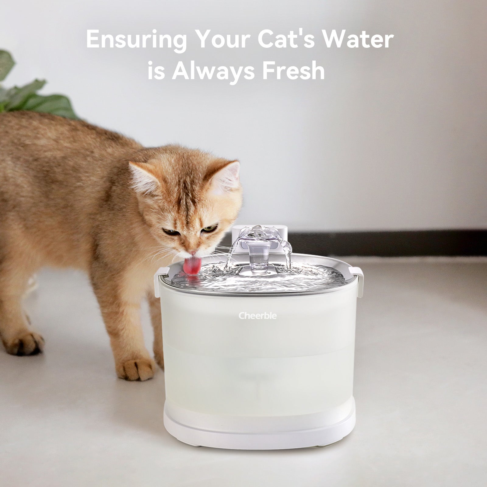 Pet Fountain Replacement Kit