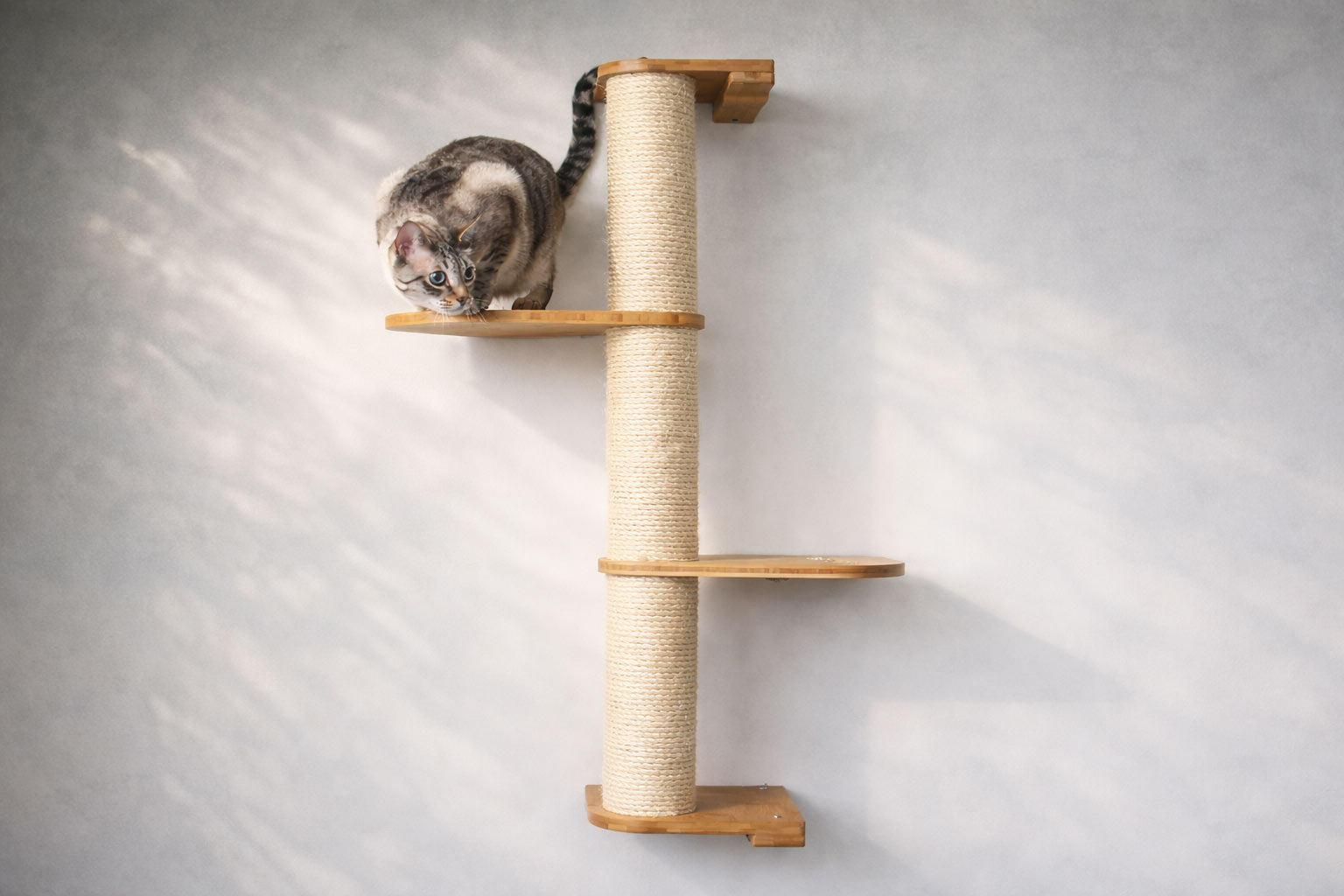 Cat Scratching Pole (Wall-Mounted) - by Catastrophic Creations