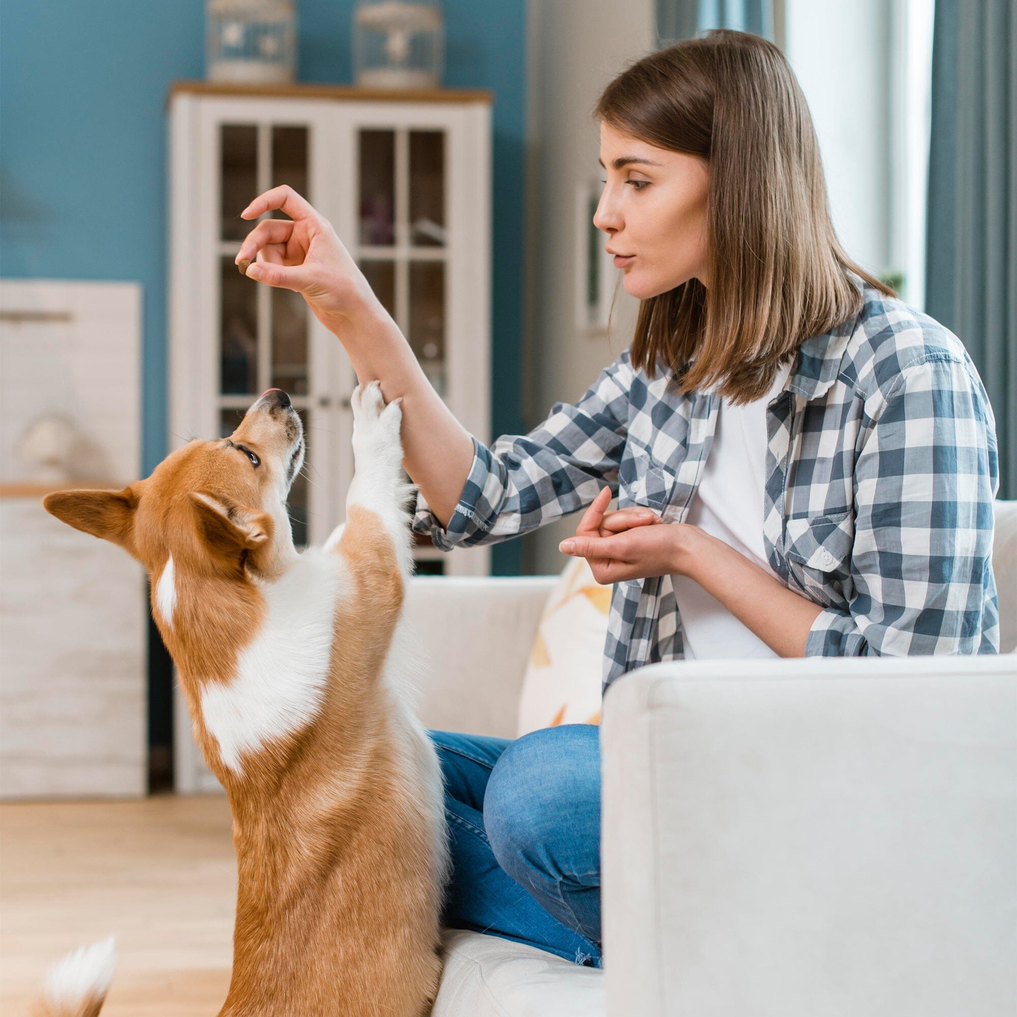 No Poo Poop Eating Deterrent With Probiotics For Dogs 9oz Jar (120 count)