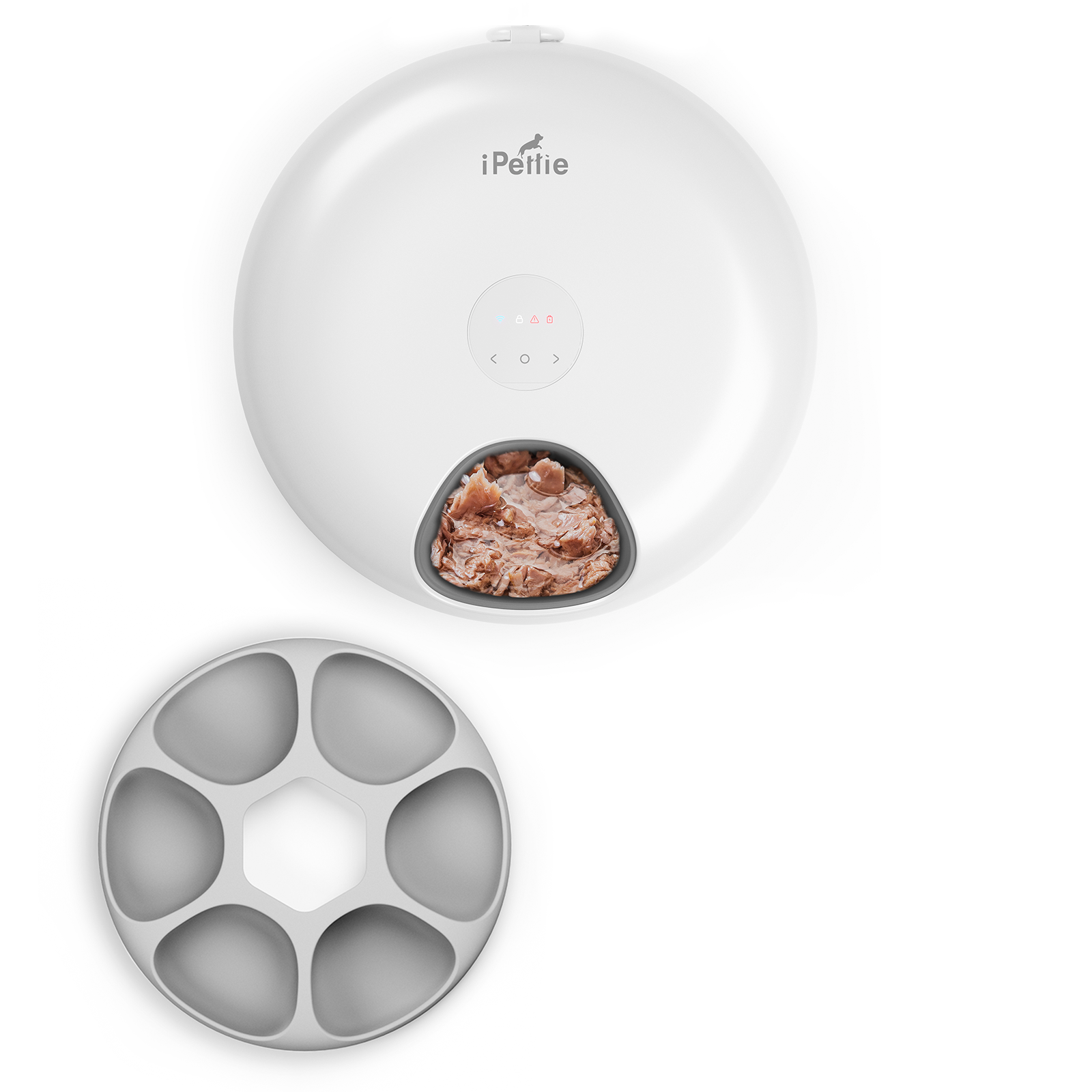 Donut Frost Automatic Pet Feeder, WiFi Version